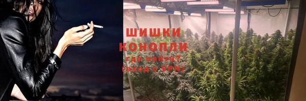 Альфа ПВП Новозыбков