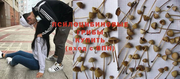 мефедрон мука Новодвинск