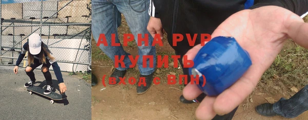 Альфа ПВП Новозыбков